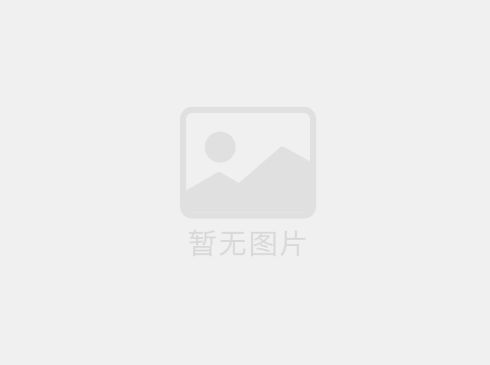 集中供料系統：供料，選系統還是單機?